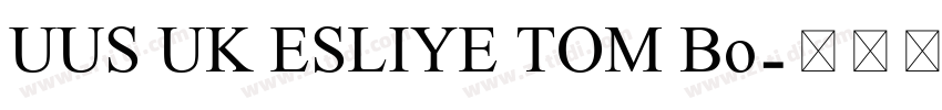 UUS UK ESLIYE TOM Bo字体转换